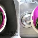 장안쭈꾸미 이미지