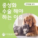 언양동물병원 이미지