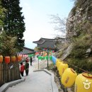 남해미미 이미지