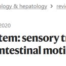 장신경계 enteric nervous system 탐구 이미지