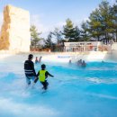 스플라스리솜 이미지