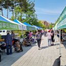 로컬푸드직매장(새롬동) 이미지