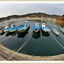 송진포항 이미지