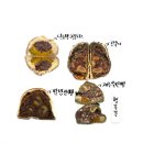 행복밀