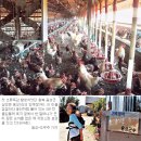 용성1리 이미지