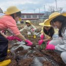 용화초등학교 이미지