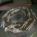 호두 펫푸드 이미지