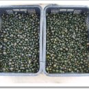 쉼터농장 이미지