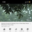 데일리캄(dailycalm) | #직장인챌린지 미라클모닝 83일차 (5.6 수, 5:30 기상) 요가소년 모닝루틴 추가 :)