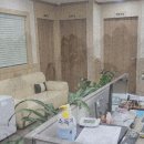 법률사무소신영