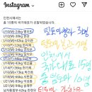 팀토마청천주짓수 네이버블로그