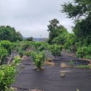 정재은공인중개사사무소 이미지