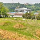 유석선생묘 및 신도비 이미지