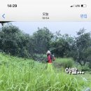 2022 K리그1 서울vs포항 이미지