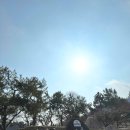 수목정 | 광양 매화축제 현재 상황과 새조개 샤브샤브가 있 &lt;수목정&gt; 솔직후기