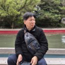 일본 화산 캠핑을 다녀와서 이미지