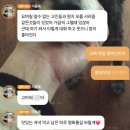 송도 무인카페 :: 스마트밸리 에그카페24 후기