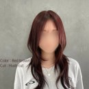 숩틸 이미지