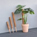 코코플랜트