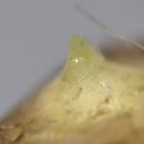 예산군농업기술센터 이미지