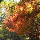 가을무등산과 노가대(주마링) 이미지