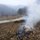 흙내음농장 Daum카페
