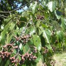 무영농장 이미지