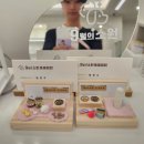 9월의 소원 동물병원 | 강아지 눈다래끼로 9월의 소원 동물병원 방문 후기