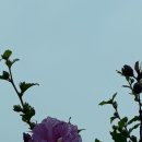 부평공원 이미지