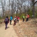 관악산길 이미지