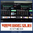 합리적인 가격의 PC 커브드 와이드 모니터 30인치 WFHD 빅트랙 30CM10001