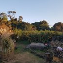 제주민박프리타타 이미지