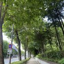 영복슈퍼 이미지