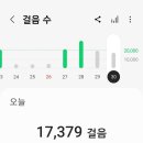 잠티 이미지