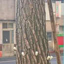 대왕세탁소 이미지