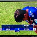 수원-0427 이미지