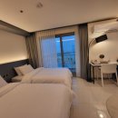 퍼플 315 이미지