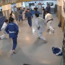 마포유도체육관 이미지