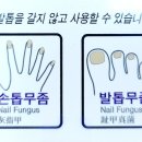 네일스타 이미지