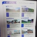 다온.댕 이미지