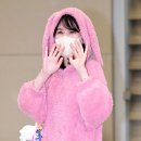 핑크토끼 이미지