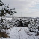 팔봉농장 이미지