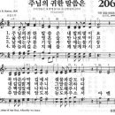 새찬송가 206장 - 주님의 귀한 말씀은 이미지