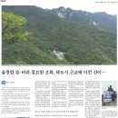 대구.팔공산 (울창한 숲·바위 절묘한 조화, 대도시 근교에 이런 산이) 이미지