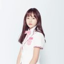 율 이미지