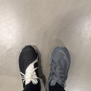 김포드림캣 | 온러닝X파프 클라우드몬스터 하이퍼 파프 그레이 실물, 구매후기, 사이즈팁 (도쿄 캣스트릿)