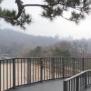 미성동-15 이미지