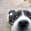 만덕농장 이미지