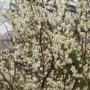 승준농장 이미지