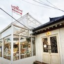 옐로스콘